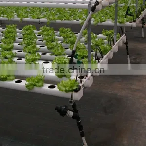 Garden / Commercial Greenhouses and Hydroponic Growing Kits thumbnail-3