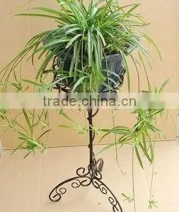 BX Wrought Iron Flower Rack/flower Stand From China 2012 New Decoration thumbnail-1