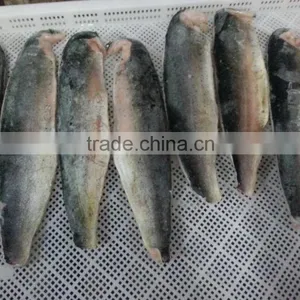 2016 High Quality of New Coming Frozen Mihi Mhi Fillet for Sale thumbnail-4