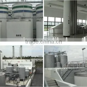 Large Brewery Winery Fermentation Tanks thumbnail-4