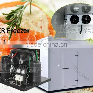 Walk in Koller Freezer Cold Room for Fishery thumbnail-1