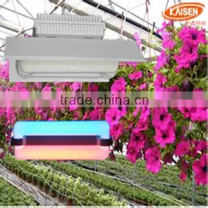 250w New Product Jiangsu Red Blue Color Full Spectrum Plant Light thumbnail-1