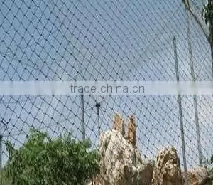 Anping Aviary Mesh for Animal Protection thumbnail-4