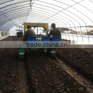Two Row Transplanting Onions by Hand in China thumbnail-4