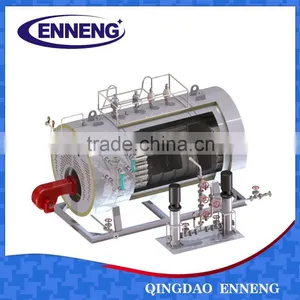 Gas Fired Boiler thumbnail-2