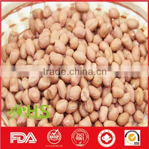 Fresh Red Skin Peanut Kernel on Hot Sale thumbnail-6