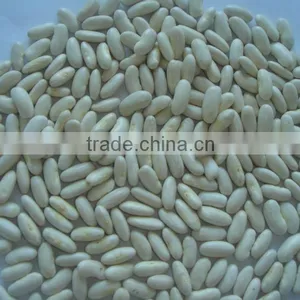 2014 Different Varieties of White Kidney Beans From China With Cheap Price thumbnail-5