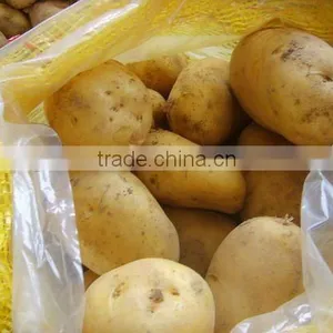New Fresh Holland Potato(10kg/ctn) thumbnail-1
