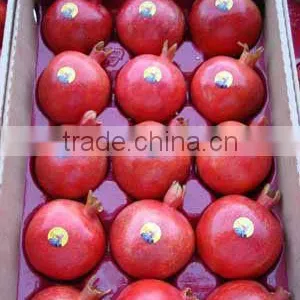 Bulk Of Pomegranates From Egypt thumbnail-1