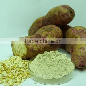 Sweet Potato Powder thumbnail-1