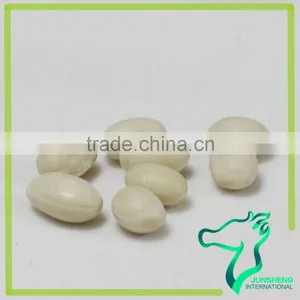 Navy Bean Small White Kidney Beans Haricot Beans thumbnail-6