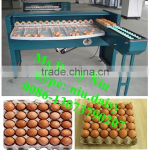 Automatic Egg Packing Machine/egg Tray Packaging Machine/egg Grading Machine for Packing thumbnail-1