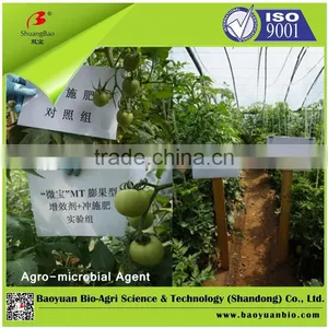 Multifunctional Agro-microbial Agent thumbnail-3