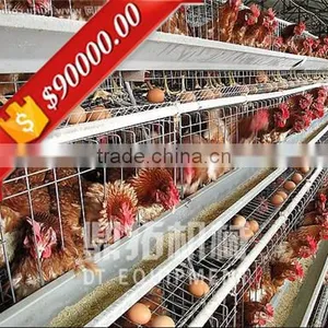 Automatic Egg Collection Equipment A Type Poultry Farm Layer Cage Equipment thumbnail-1