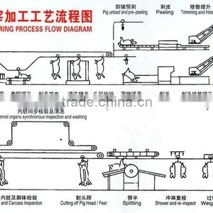 High Automatic Pig Slaughterhouse thumbnail-1