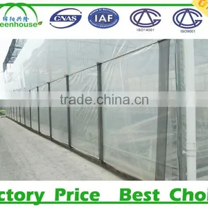 Plastic Film Greenhouse Tunnel for Sale thumbnail-3