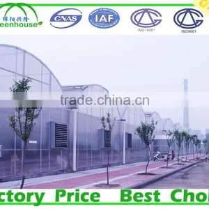 Large Size and Double Layer Inflation Film Multi Span Commercial Prefabricated Greenhouse thumbnail-1