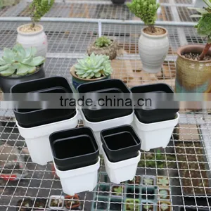 Plastic Colorful More Thickness Square Flower Pot thumbnail-5