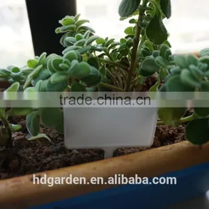 Hot Sale Colored Plastic Plant Marker Tag Wholesale thumbnail-6