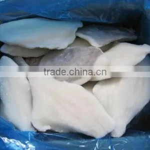 Frozen Moonfish Fillets thumbnail-4