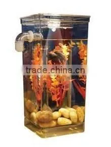 my Fun Fish Clean Tank With LED thumbnail-3