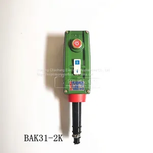 Electric Block Button Explosion-proof Handle Switch Explosion Control Button BAK21 BAK31 BAK41 thumbnail-3