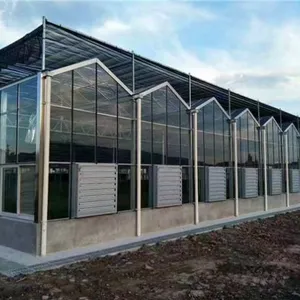 Small Industrial Wall Mounted Ventilation Exhaust Fan for Poultry Farm and Greenhouse thumbnail-1