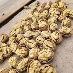 Walnut Inshell thumbnail-2