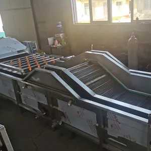 Bubble Vegetable Cleaning Machine Automatic Fruit Washing Machine For Sale thumbnail-1