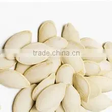 Pumpkin Seed thumbnail-1