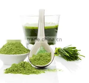 Fine Quality Wheat Grass Powder For OEM thumbnail-2