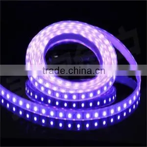 High Quality DIY 24v or 12v Programmable Rgb Led Strip 120Led/meter 3014 Waterproof Rgb Led Strip IP68 thumbnail-1