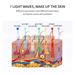 LED Light 7 Color Facial SPA Nano Photon Skin Rejuvenation Device PDT Therapy Hot Cold Spray Skin Care Beauty Instrument thumbnail-5