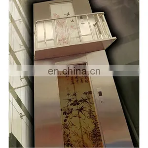 Luxurious Low Noise Safe Sanyo Home Elevator Villa Lift thumbnail-1