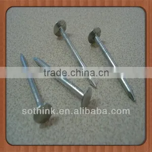 Hot Dipped Galv.flat Head Roofing Nails thumbnail-1