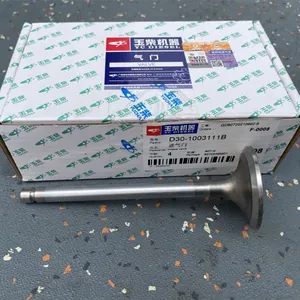 Yuchai Genuine Yuchai Diesel Engine Spare Parts 1 Set Price D30-1003111B Auto Inlet Valve thumbnail-2