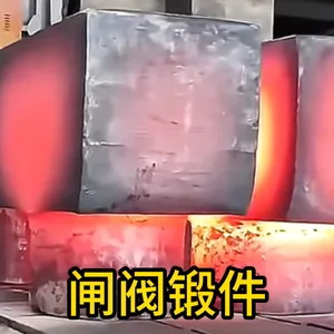 Gate Valve Forgings | Forged Components | Factory Customization thumbnail-1