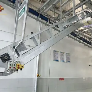Automatic Pig Slaughter Production Line 304 Stainless Steel Abattoir Machinery thumbnail-3
