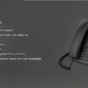 X301