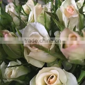 New OEM Fresh Rose Flower thumbnail-1