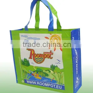 Bags for Shopping,plastic Shopping Bags Wholesale,fashionable Shopping Bags thumbnail-2