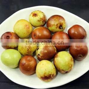 Commercial Red Date Washing Machine|Automatic Olive Cleaning Machine thumbnail-5