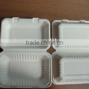 Bagasse Clamshell thumbnail-1