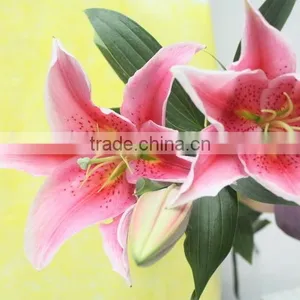 Most Popular Best Selling Lilies Real Touch thumbnail-1