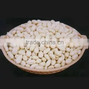 Xiang Nong Blanched Peanut Kernels thumbnail-1