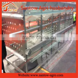 Stable Steel Structure Chicken Egg Layer Cage Egg Laying Cage Design thumbnail-4