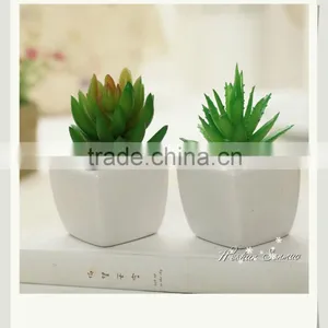 Natural Look Artificial Succulents Plant Mini Bonsai for Table Decor thumbnail-1
