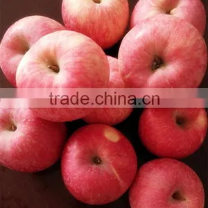 Red Color and Fresh Style Fuji Apple thumbnail-1