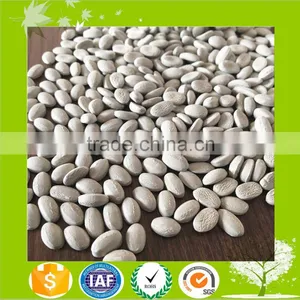 Plast Desiccant Masterbatch/Dry Agent thumbnail-3
