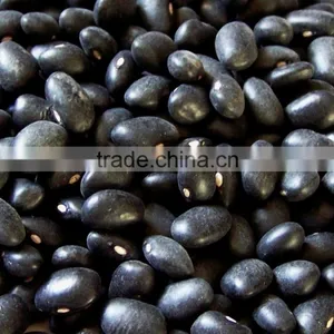 Black Beans New Crop thumbnail-2